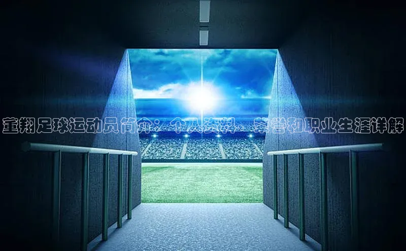 非凡电子游戏平台官网百度翻译董翔足球运动员简介：个人资料、荣誉和职业生涯详解