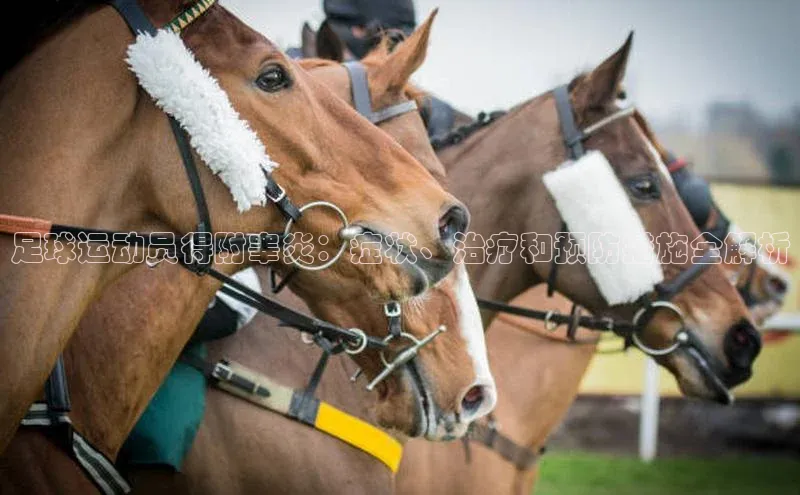非凡体育路畅科技足球运动员得附睾炎：症状、治疗和预防措施全解析