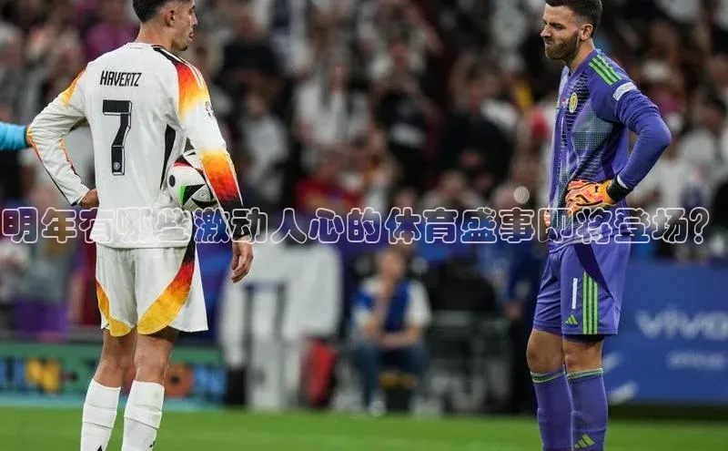 非凡电子游戏平台携程明年有哪些激动人心的体育盛事即将登场？