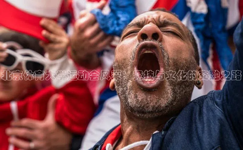 北京体育大学运动会风采：竞技与文化的交融之路