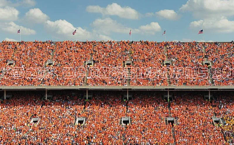 冰雪之巅：世界顶级滑雪比赛的规则与魅力