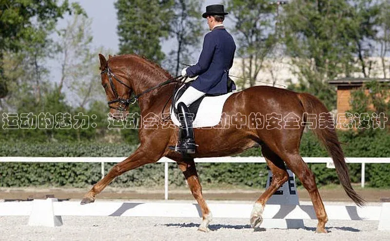 运动的魅力：运动会赛事活动中的安全与美感设计