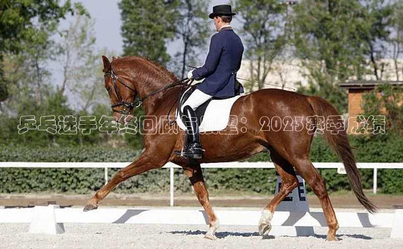 乒乓选手年终回顾与展望：2023赛季成绩