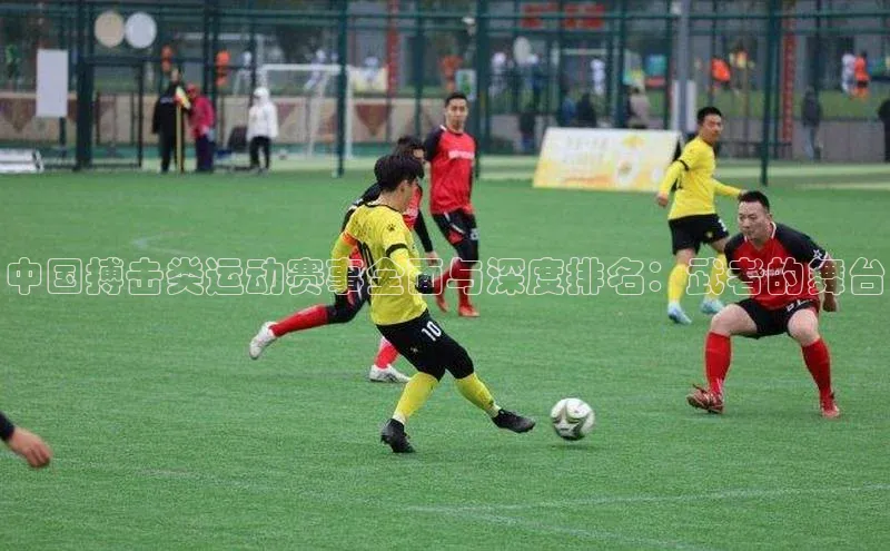 中国搏击类运动赛事全面与深度排名：武者的舞台
