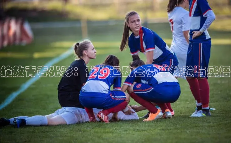 绽放青春光彩：我的运动会赛事体验与感悟