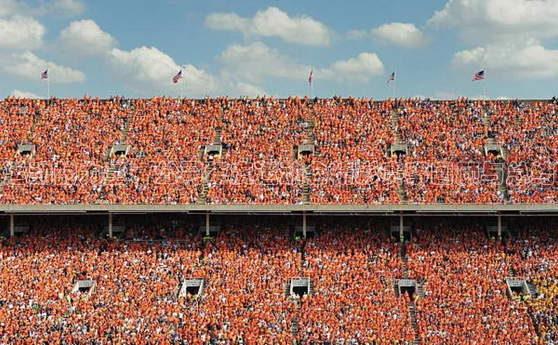 运动的力量：公司年度运动会精彩赛事回顾与总结