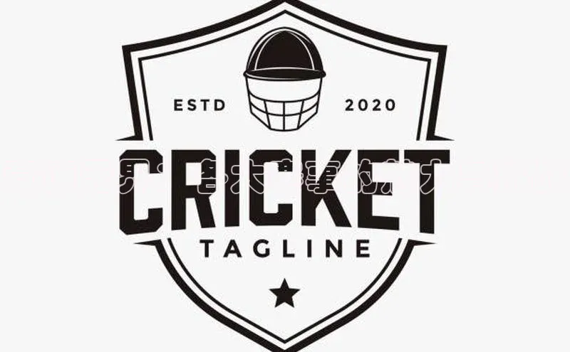 竞速无界：各大赛事的魅力与挑战