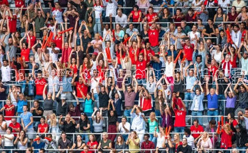 起亚荣耀：激情与创新的体育盛宴