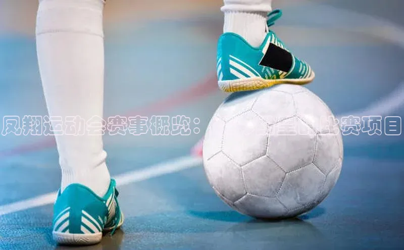 凤翔运动会赛事概览：精彩纷呈的比赛项目