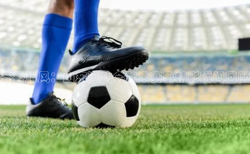 齐鲁雄风：山东运动会武术赛事精彩瞬间回顾