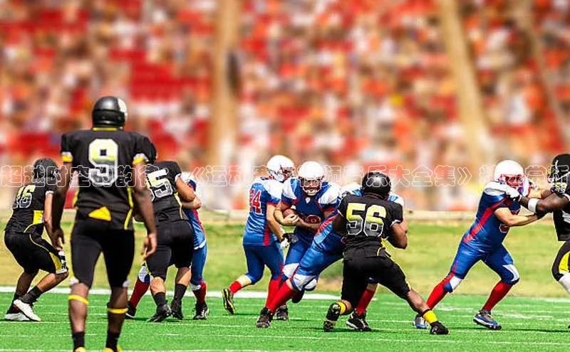 超越时空的韵律：《运动赛事视频音乐大全集》精选赏析