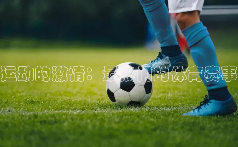 运动的激情：最热门的体育赛事