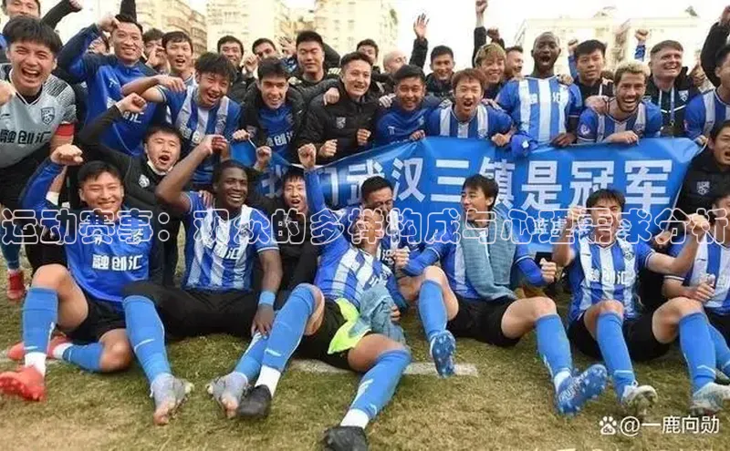 运动赛事：观众的多样构成与心理需求分析